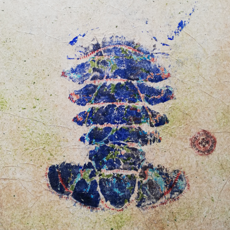 dorade%20grise%20outre mer%2020x20